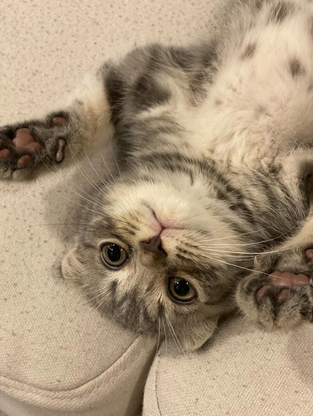 แบงค์ - ธิติ มหาโยธารักษ์