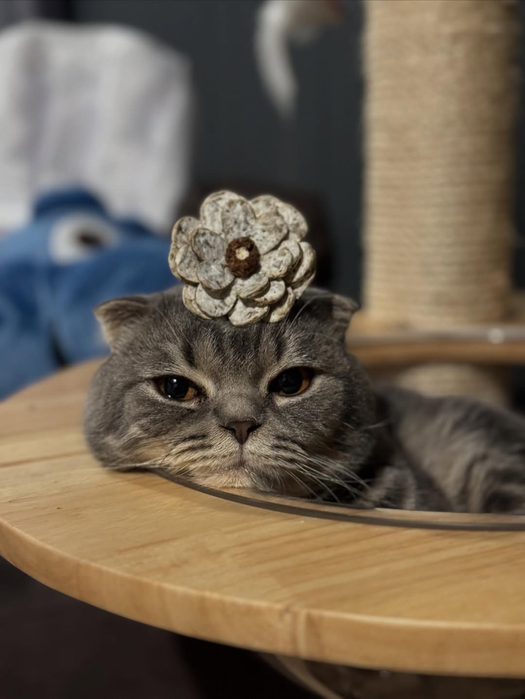 แบงค์ - ธิติ มหาโยธารักษ์