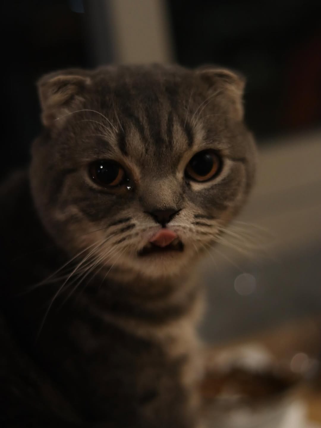 แบงค์ - ธิติ มหาโยธารักษ์