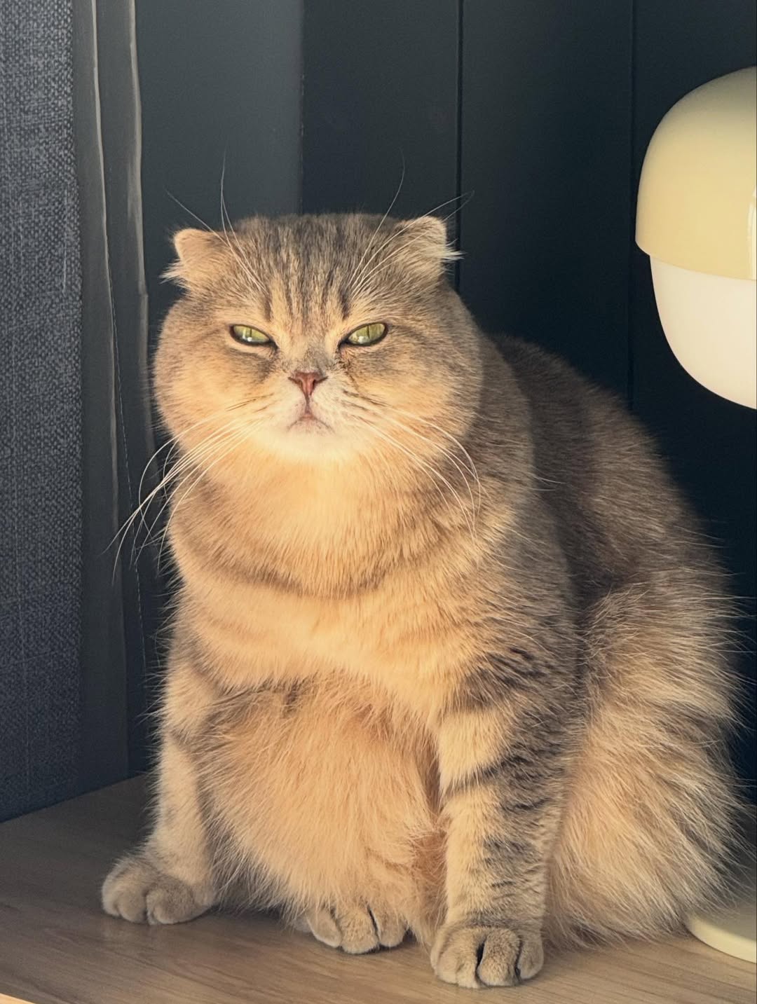 แบงค์ - ธิติ มหาโยธารักษ์