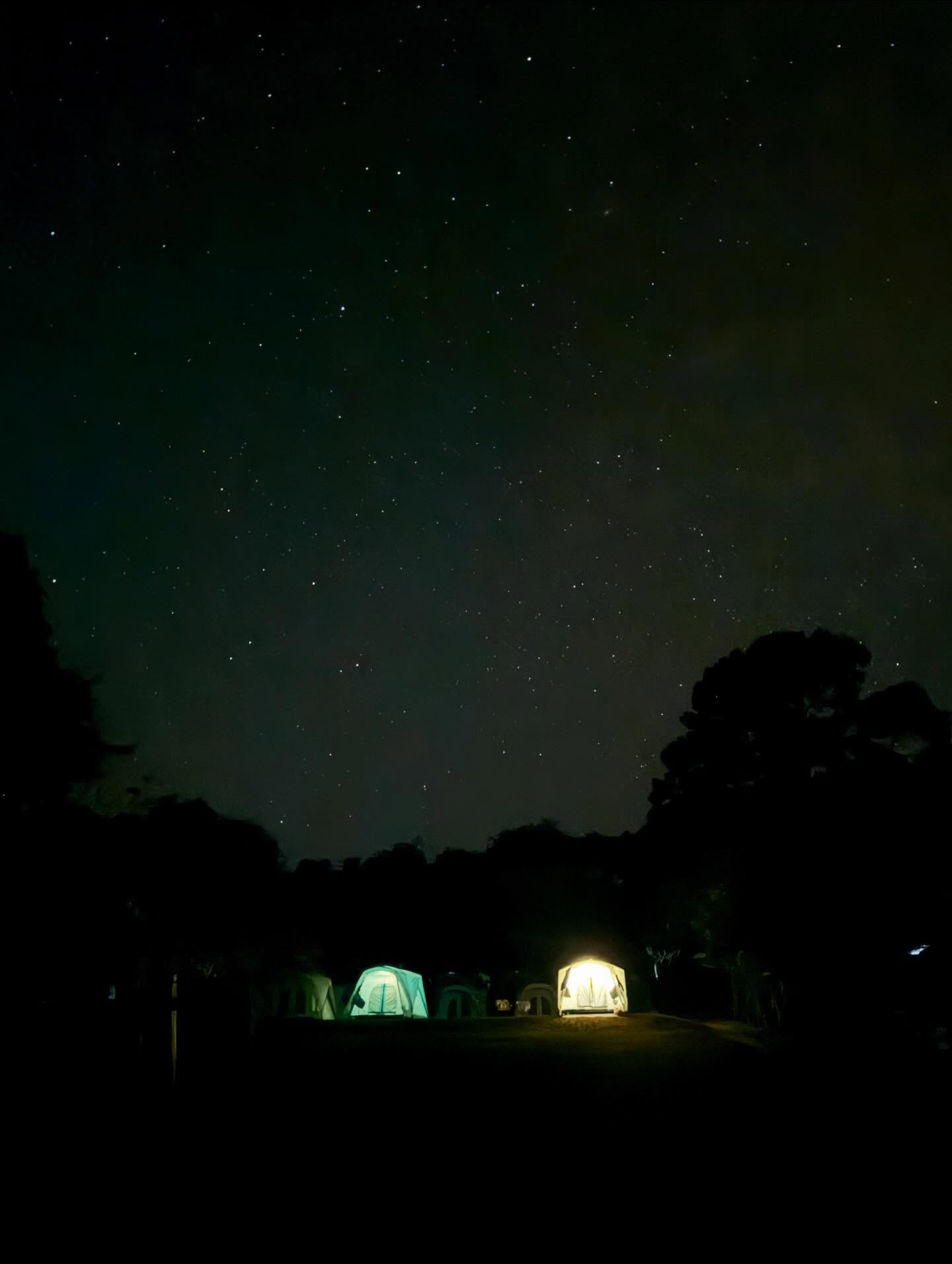 แบงค์ - ธิติ มหาโยธารักษ์