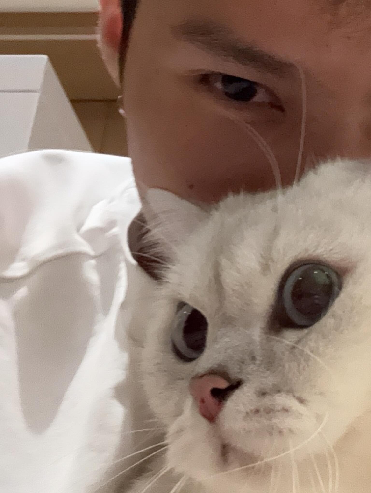 แบงค์ - ธิติ มหาโยธารักษ์