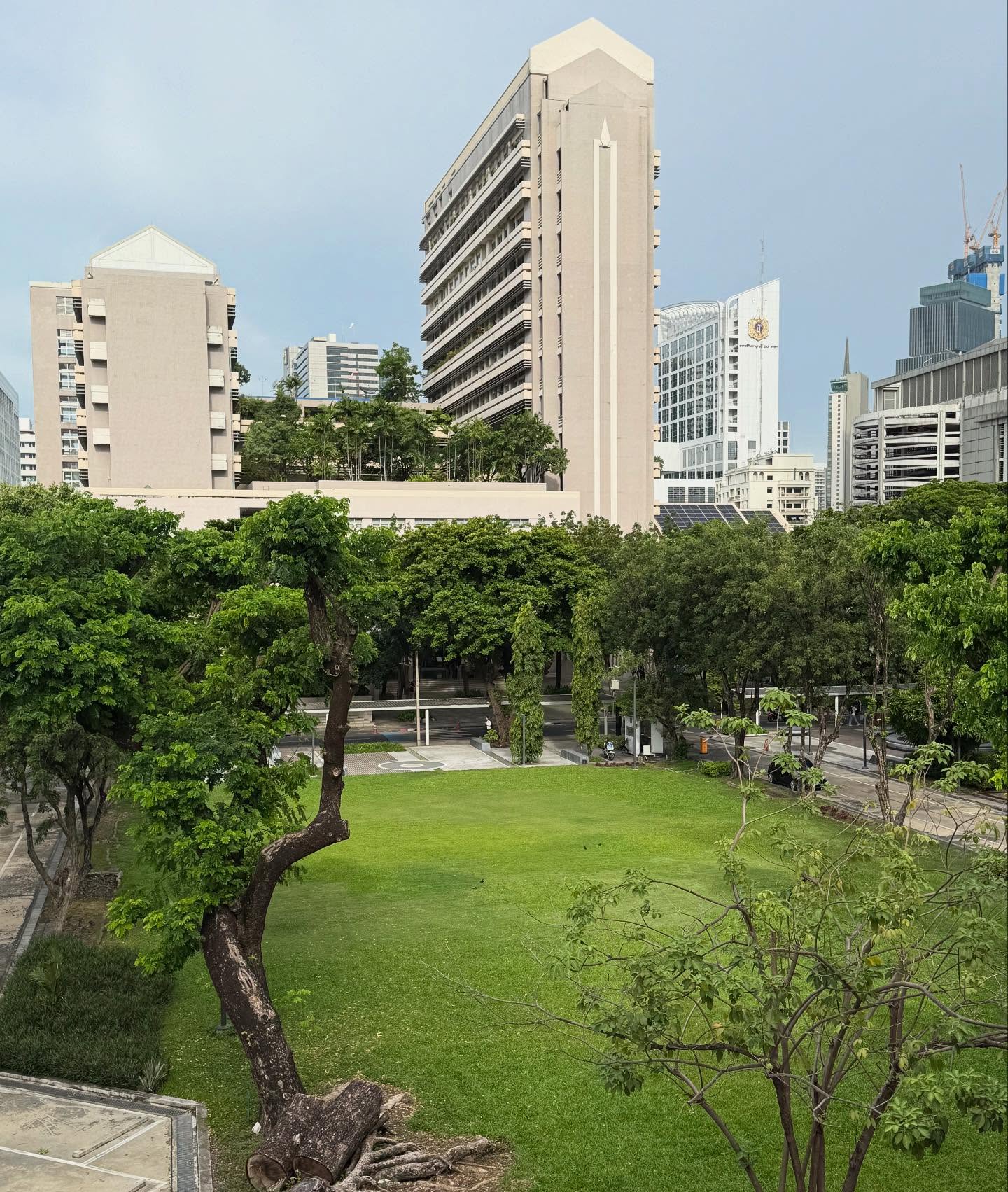โก้ - วศิน อัศวนฤนาท