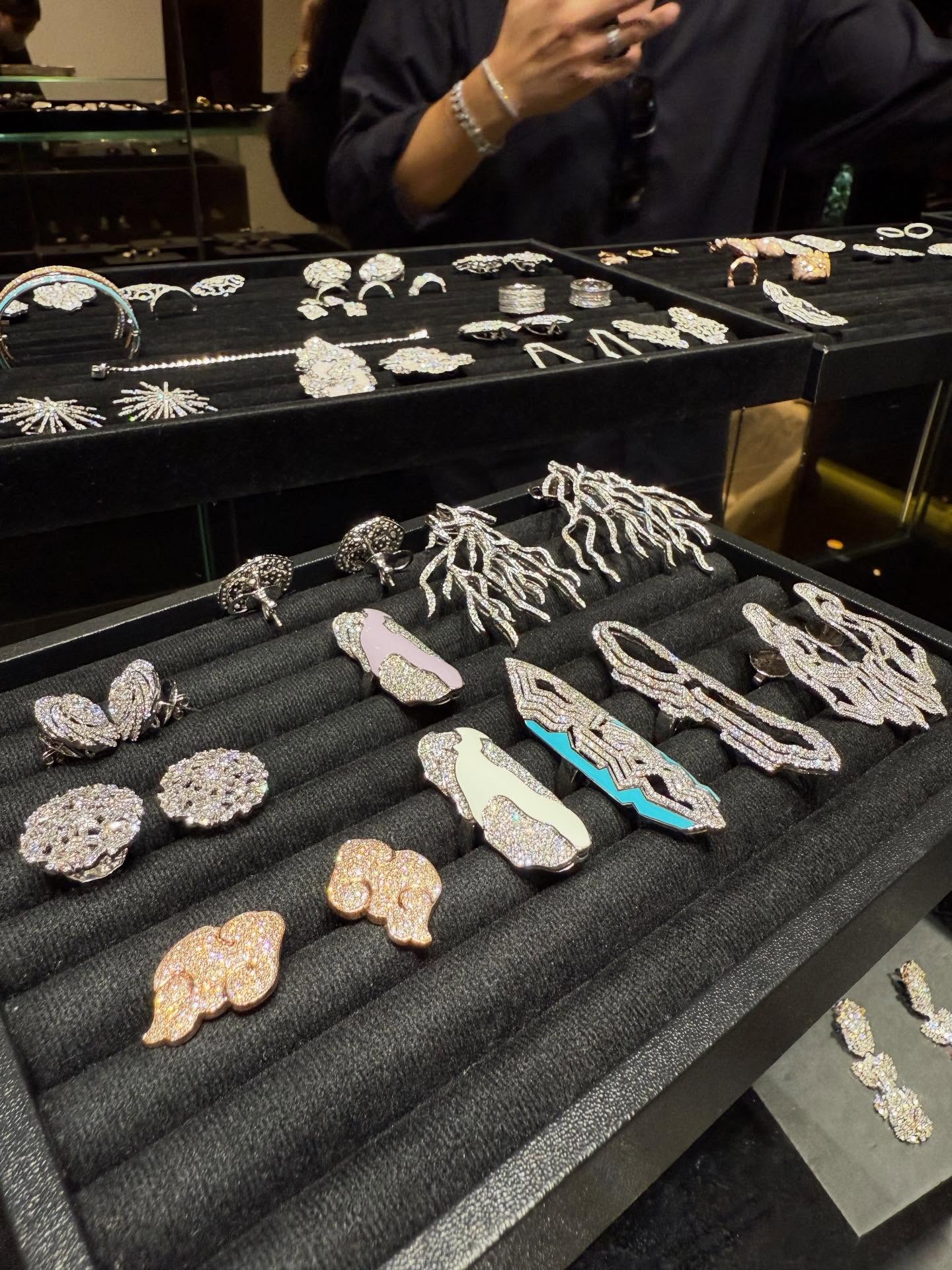 โก้ - วศิน อัศวนฤนาท