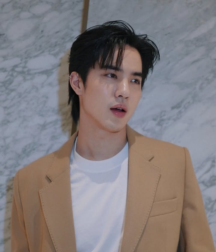 โก้ - วศิน อัศวนฤนาท