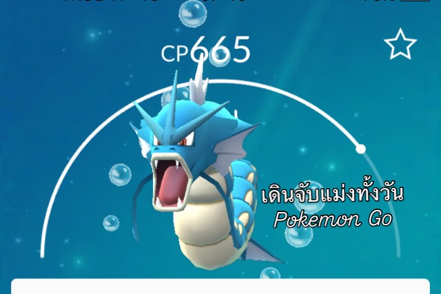 โก้ - วศิน อัศวนฤนาท