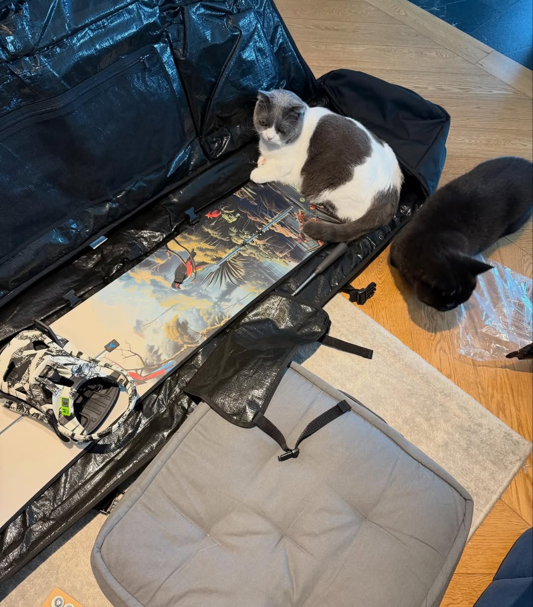 โก้ - วศิน อัศวนฤนาท