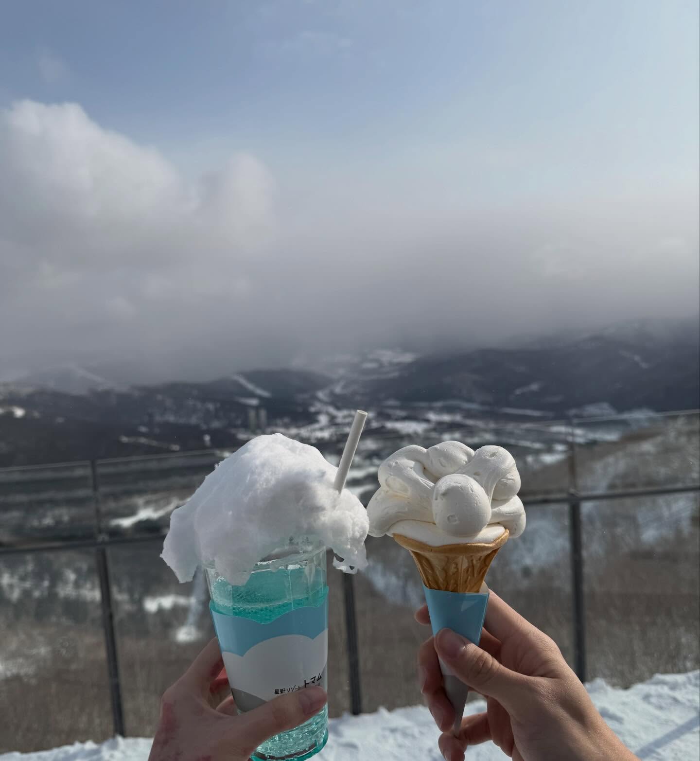 โก้ - วศิน อัศวนฤนาท