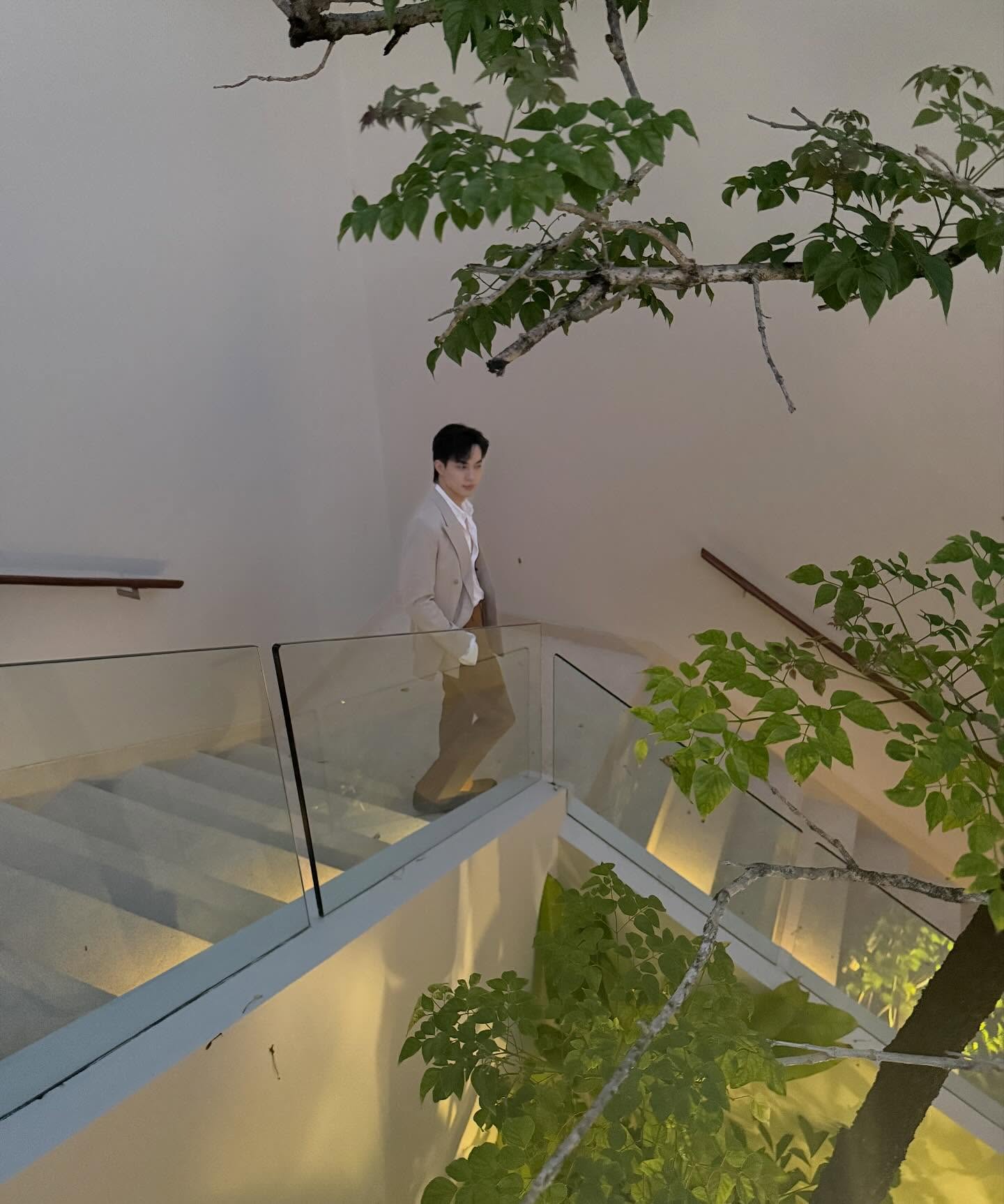 โก้ - วศิน อัศวนฤนาท