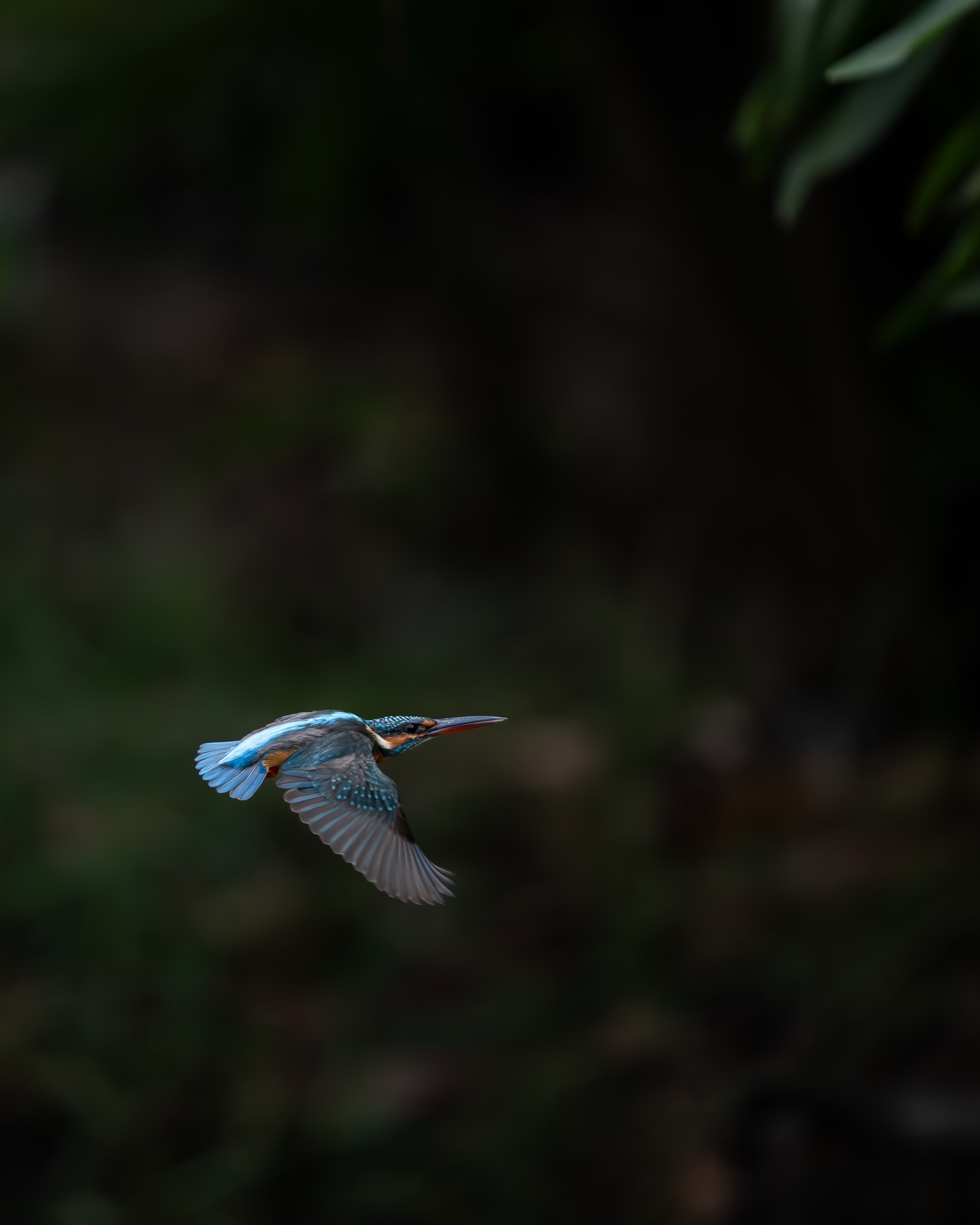 เน๋ง - ศรัณย์ นราประเสริฐกุล