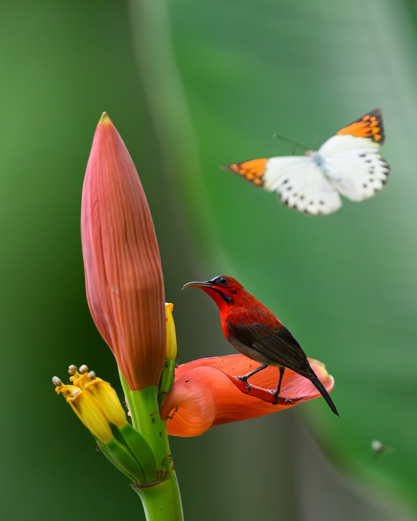 เน๋ง - ศรัณย์ นราประเสริฐกุล