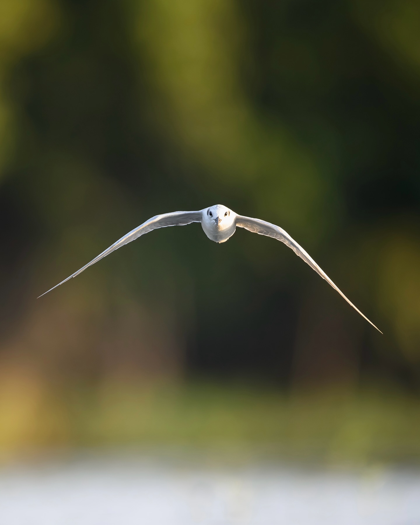 เน๋ง - ศรัณย์ นราประเสริฐกุล