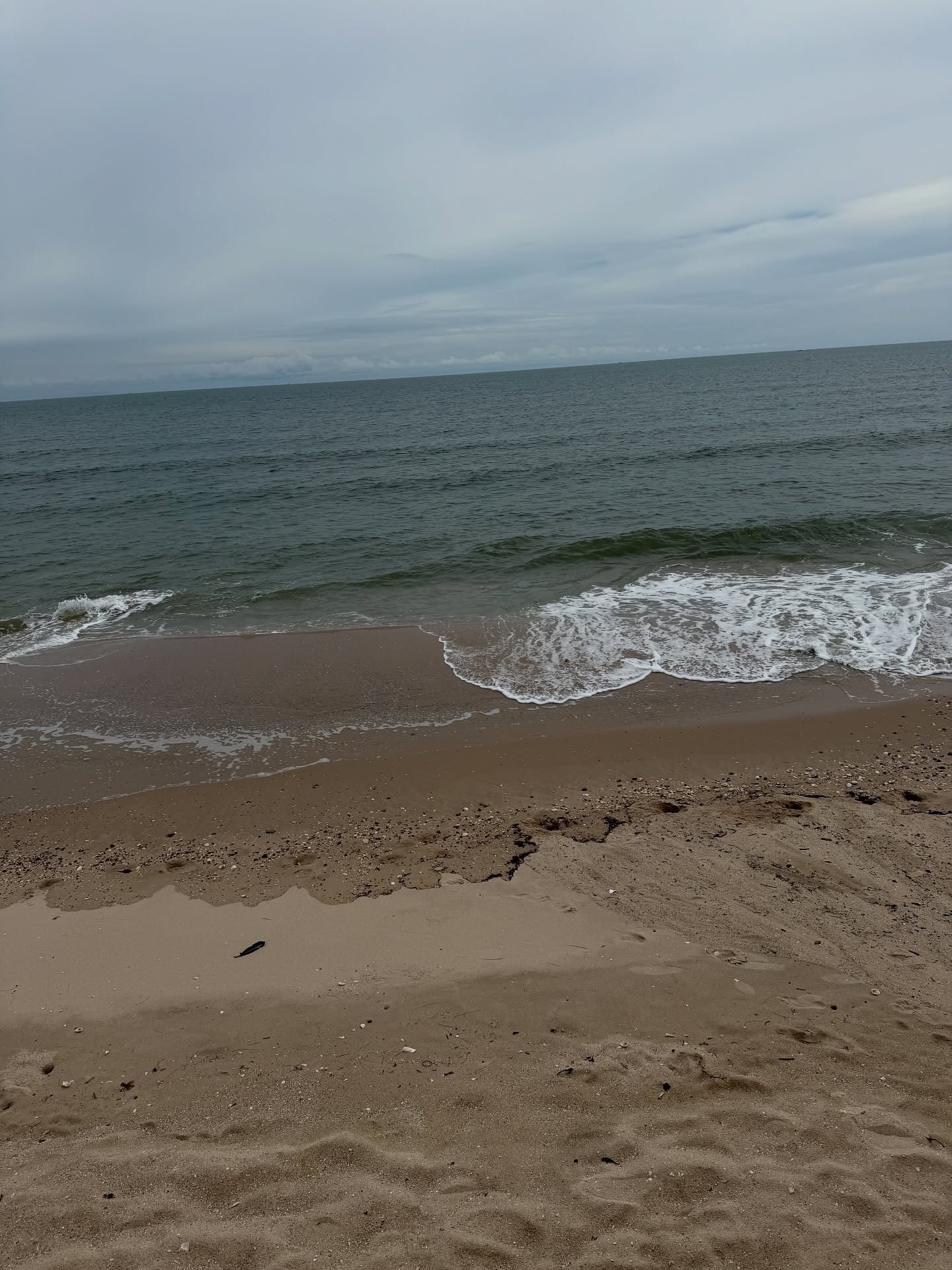 เน๋ง - ศรัณย์ นราประเสริฐกุล