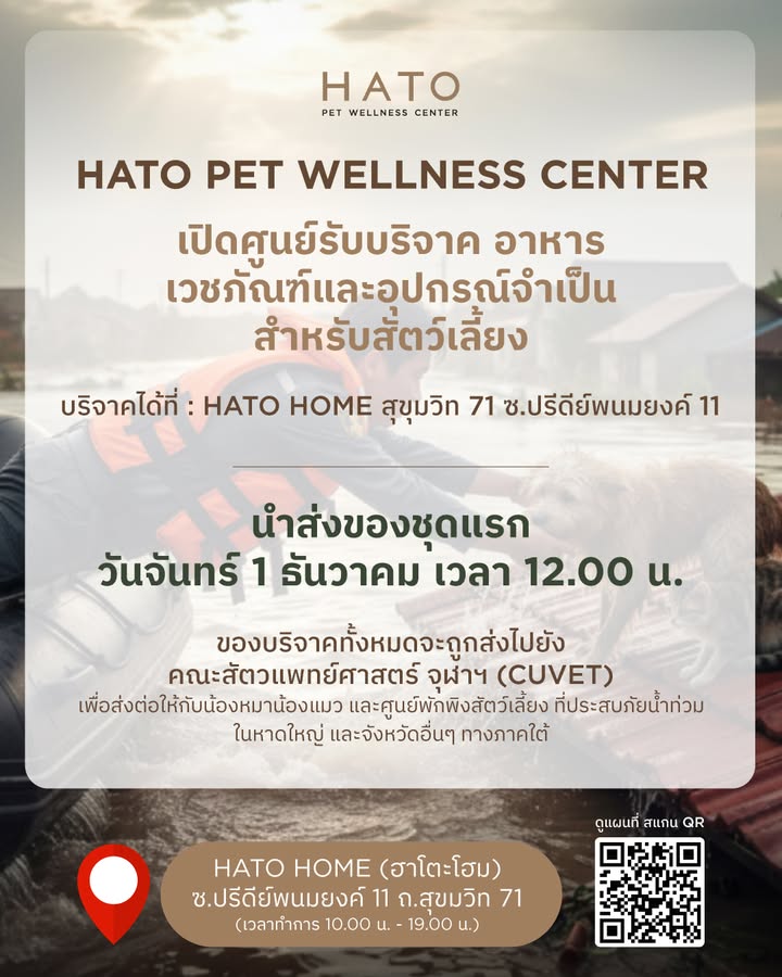 เน๋ง - ศรัณย์ นราประเสริฐกุล