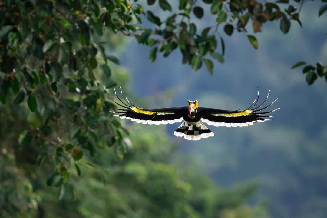 เน๋ง - ศรัณย์ นราประเสริฐกุล