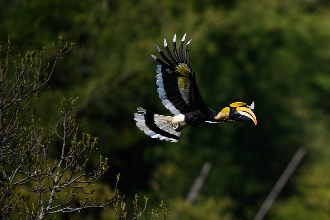 เน๋ง - ศรัณย์ นราประเสริฐกุล