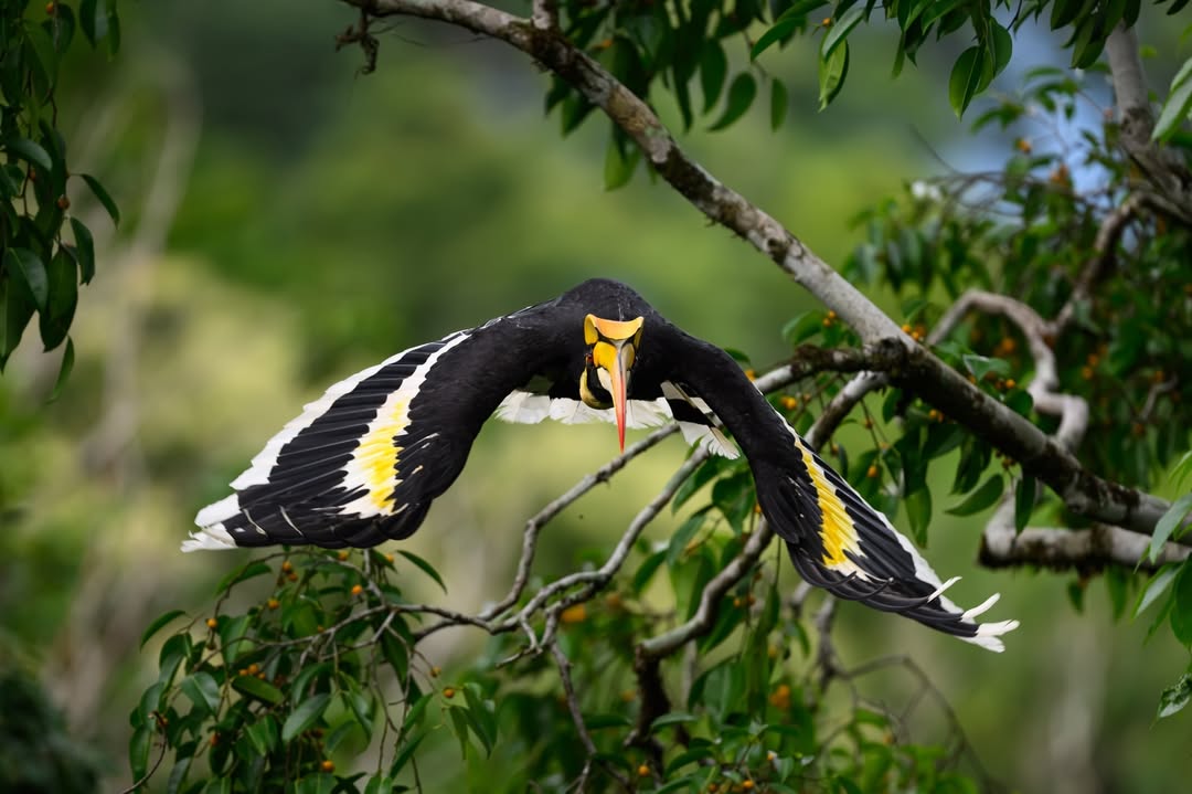 เน๋ง - ศรัณย์ นราประเสริฐกุล