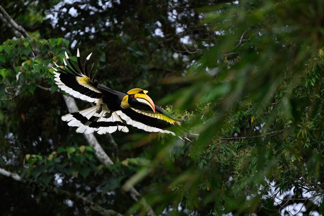 เน๋ง - ศรัณย์ นราประเสริฐกุล