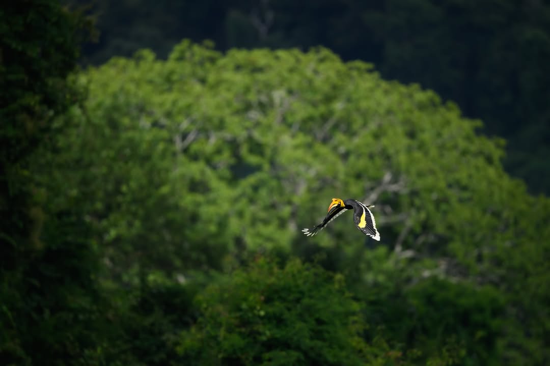เน๋ง - ศรัณย์ นราประเสริฐกุล