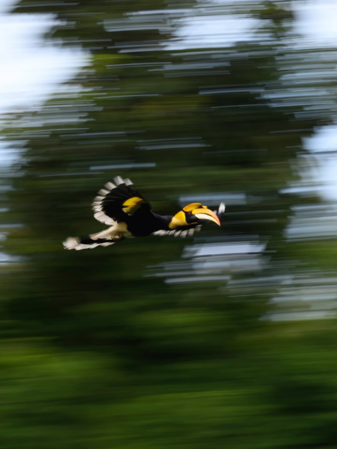 เน๋ง - ศรัณย์ นราประเสริฐกุล