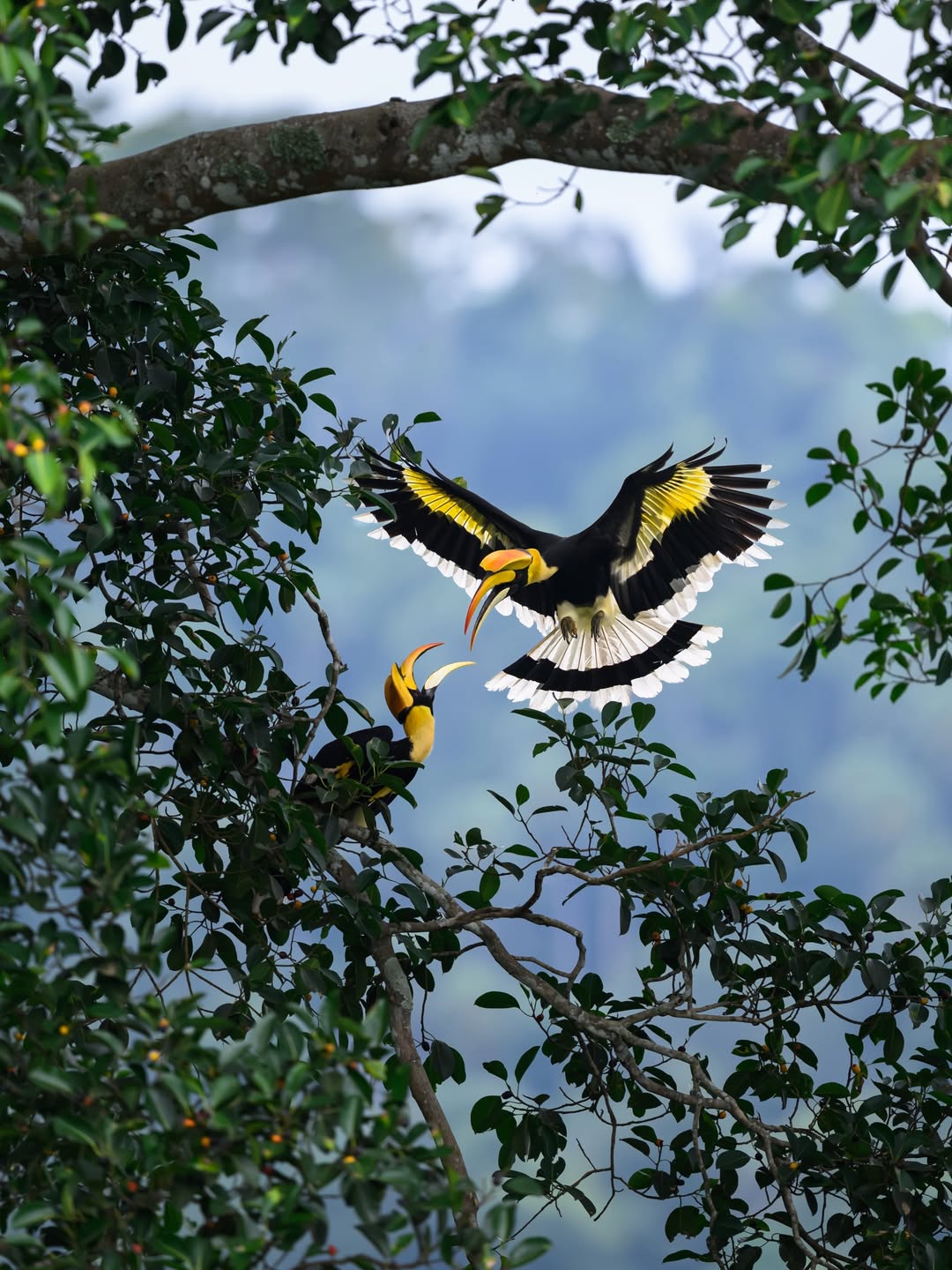 เน๋ง - ศรัณย์ นราประเสริฐกุล