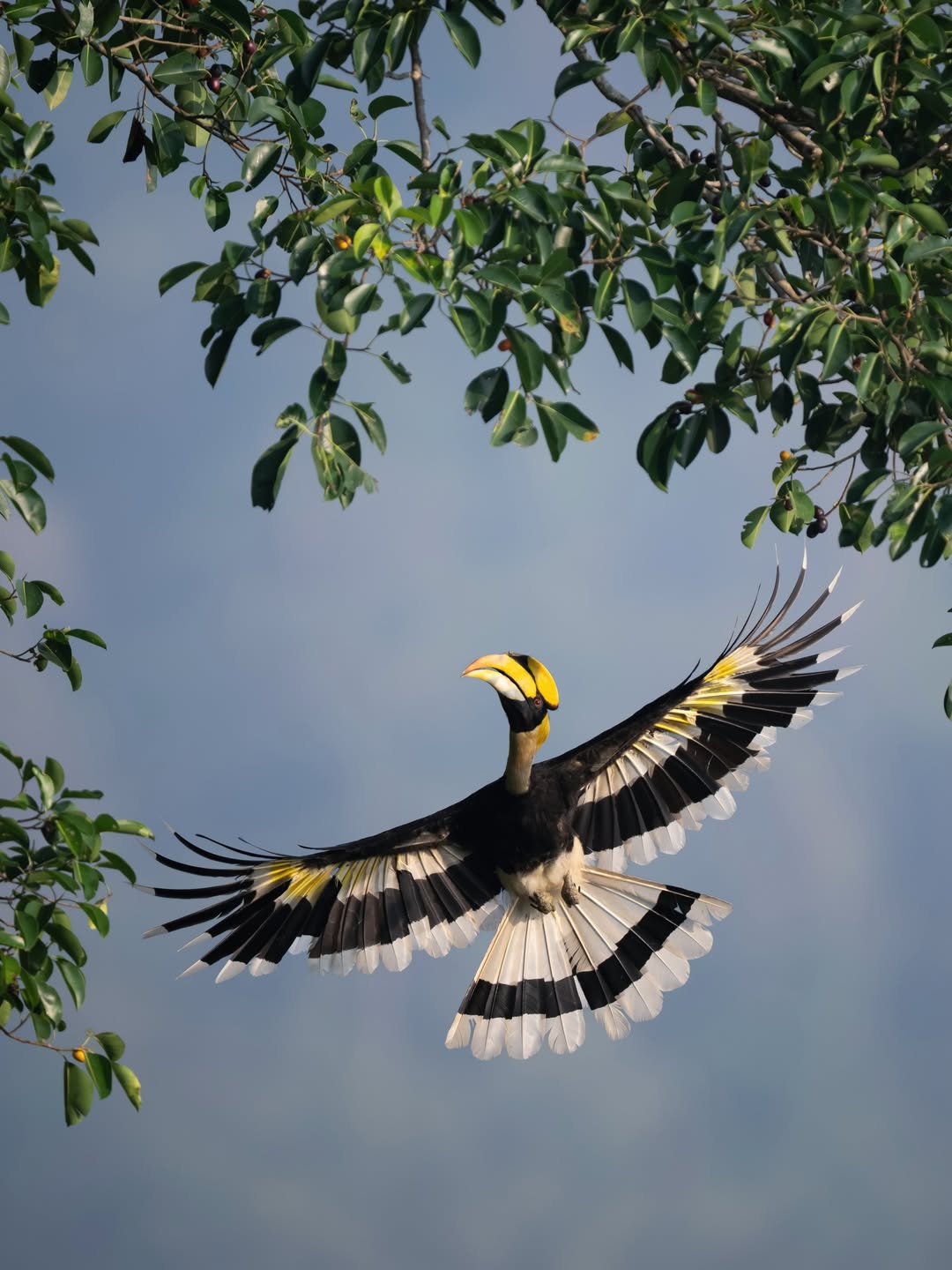 เน๋ง - ศรัณย์ นราประเสริฐกุล