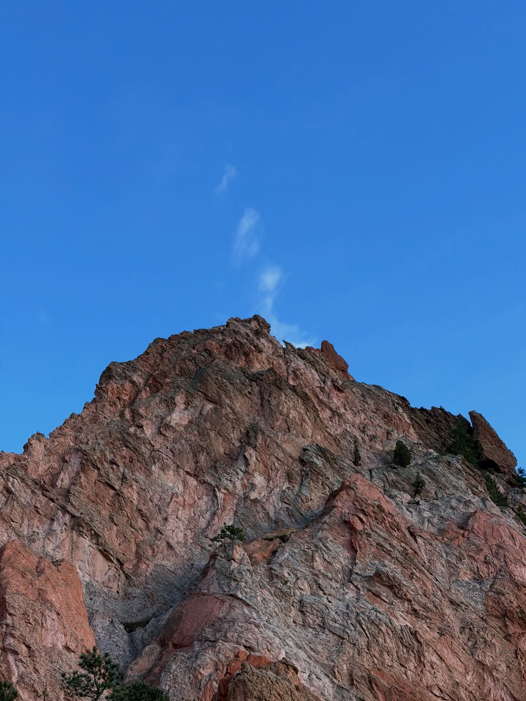 เน๋ง - ศรัณย์ นราประเสริฐกุล