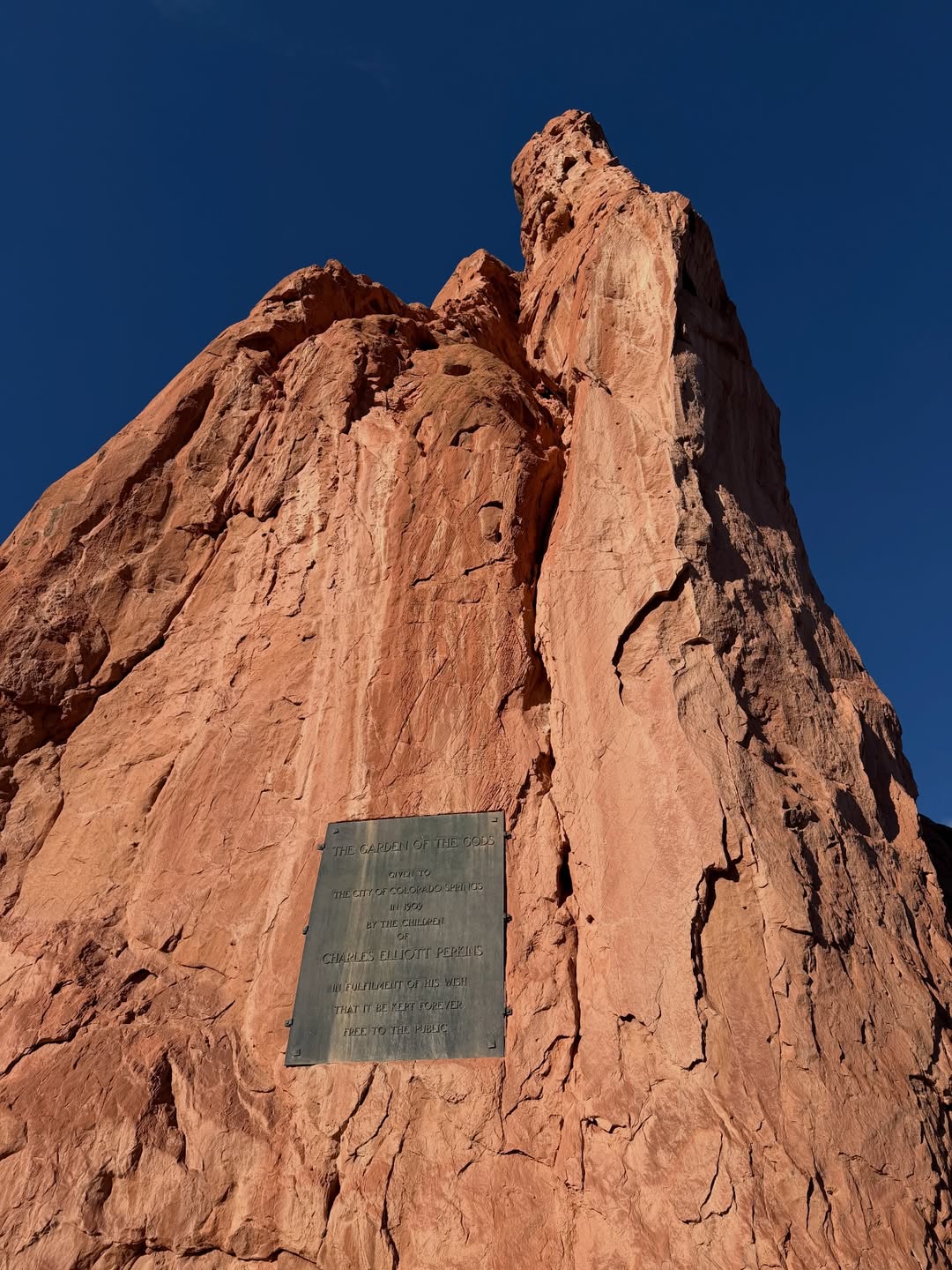 เน๋ง - ศรัณย์ นราประเสริฐกุล