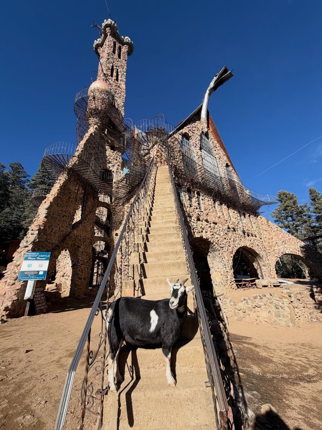 เน๋ง - ศรัณย์ นราประเสริฐกุล