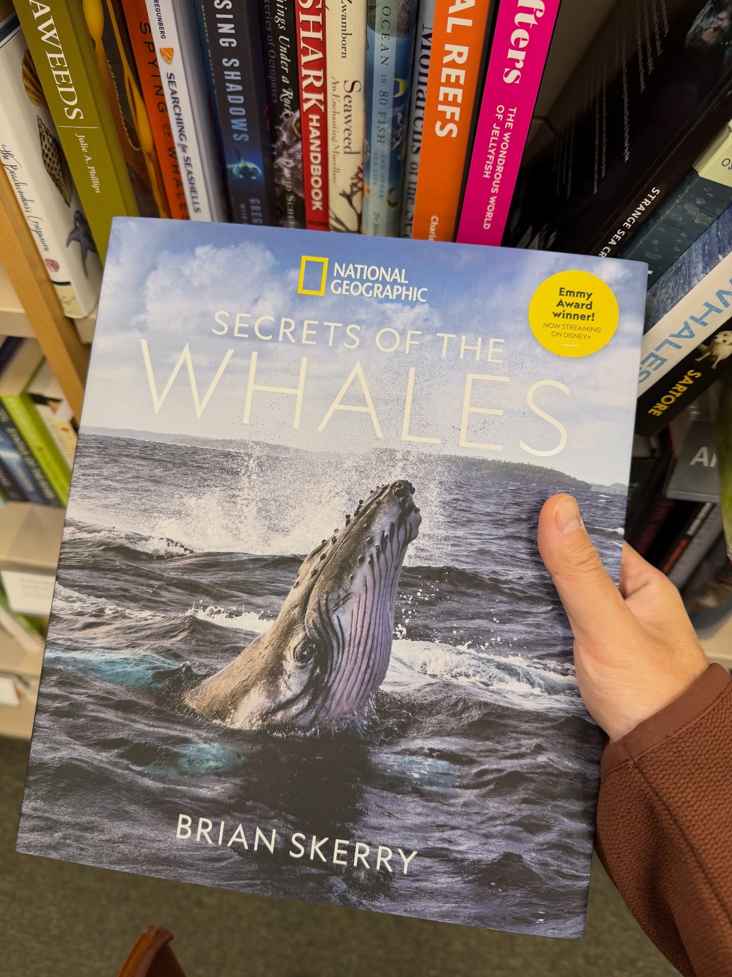 เน๋ง - ศรัณย์ นราประเสริฐกุล