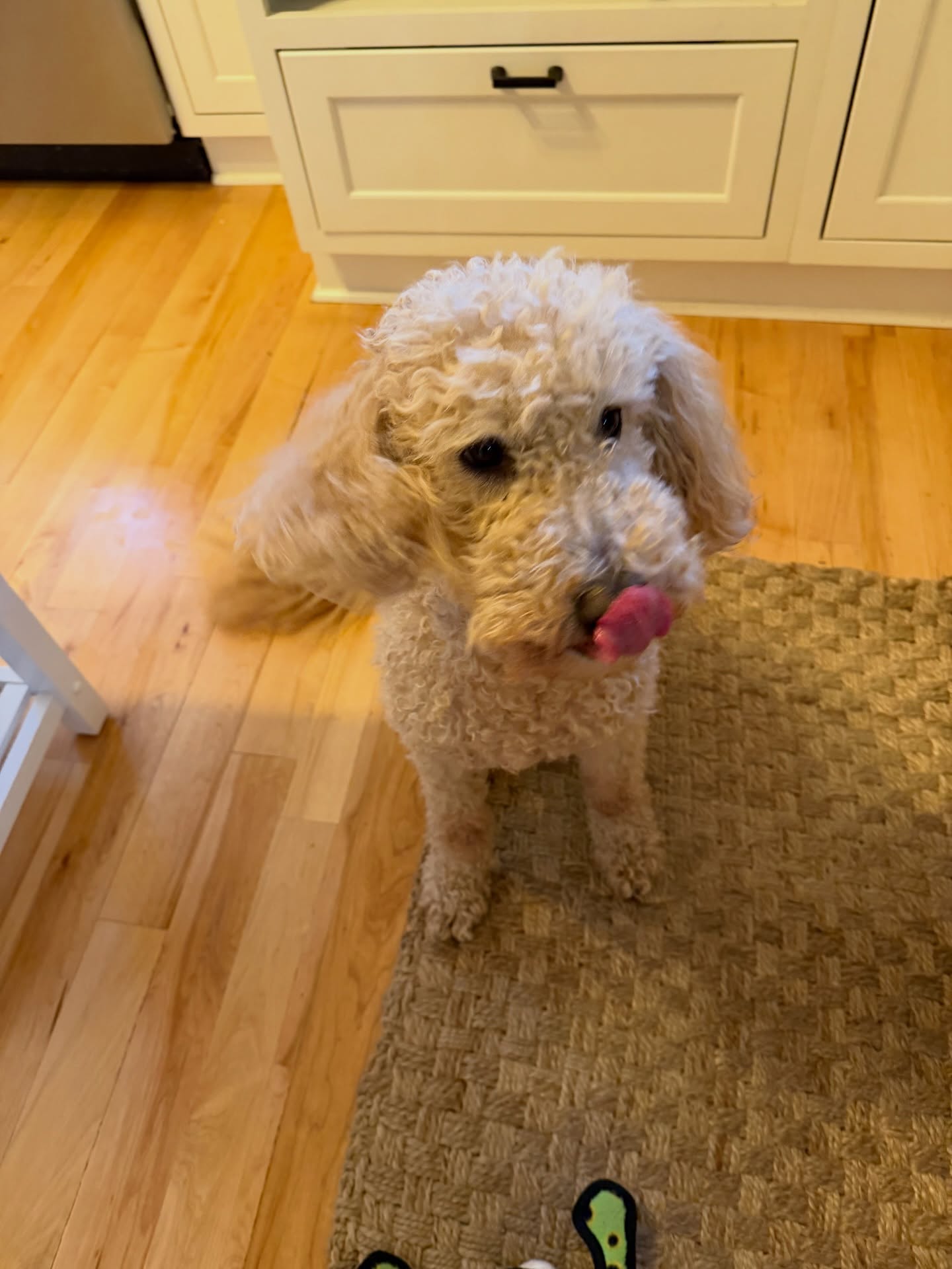 เน๋ง - ศรัณย์ นราประเสริฐกุล