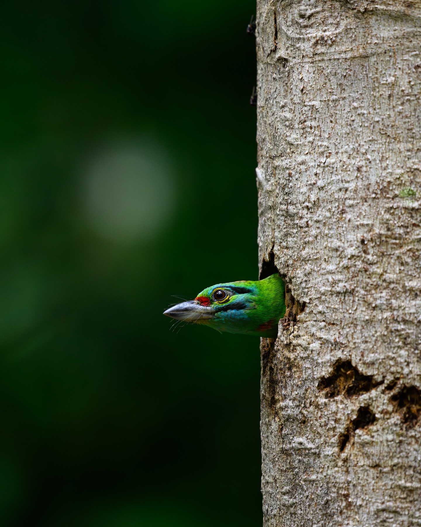 เน๋ง - ศรัณย์ นราประเสริฐกุล