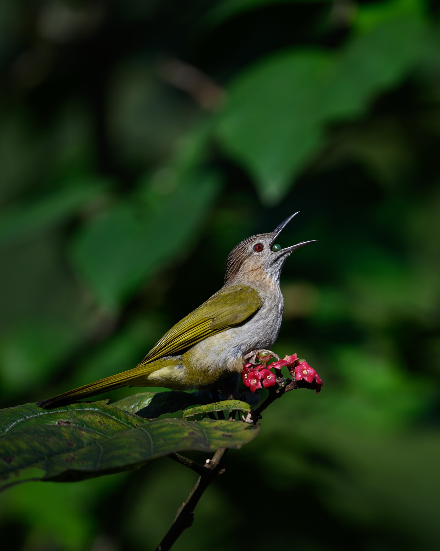 เน๋ง - ศรัณย์ นราประเสริฐกุล