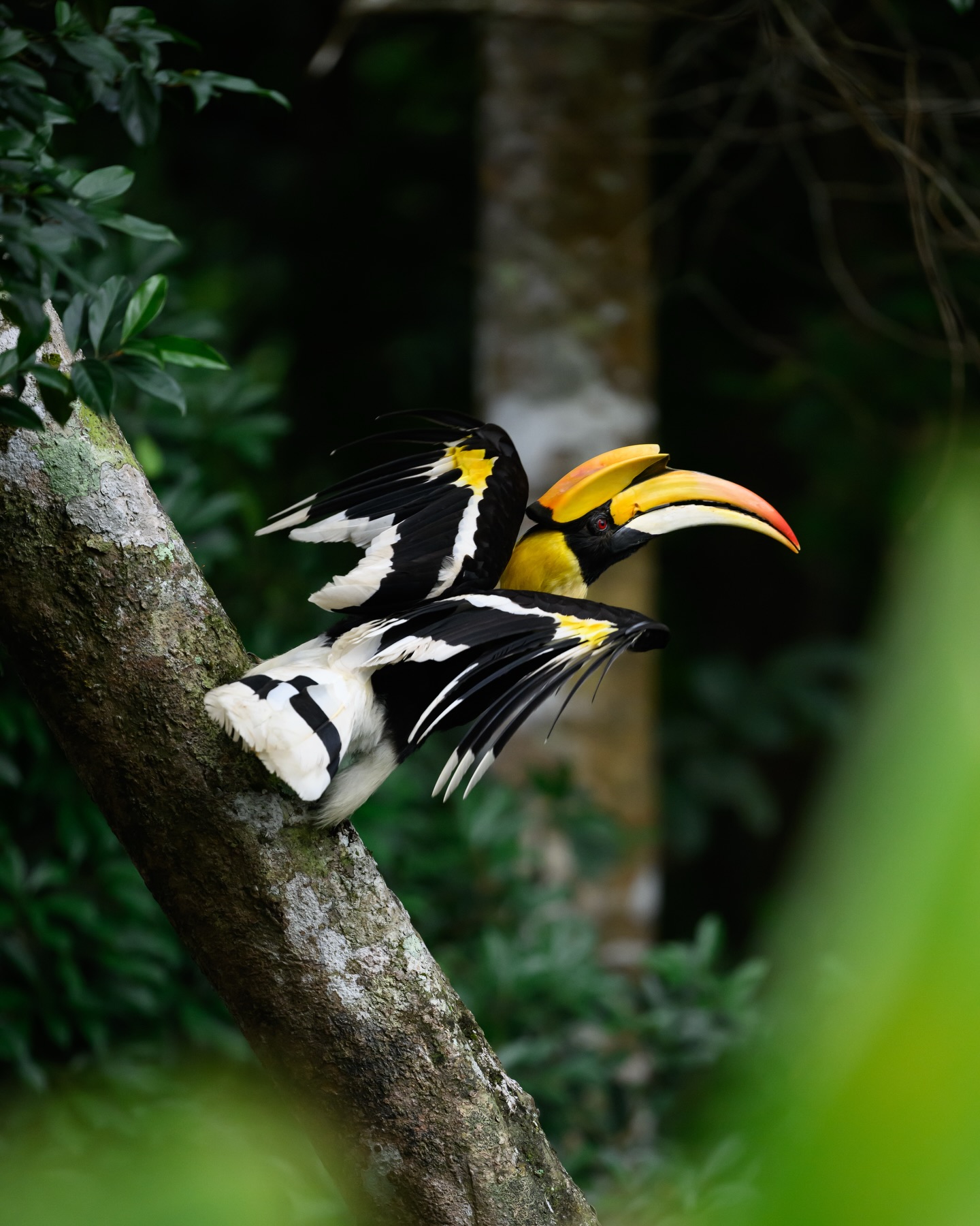 เน๋ง - ศรัณย์ นราประเสริฐกุล