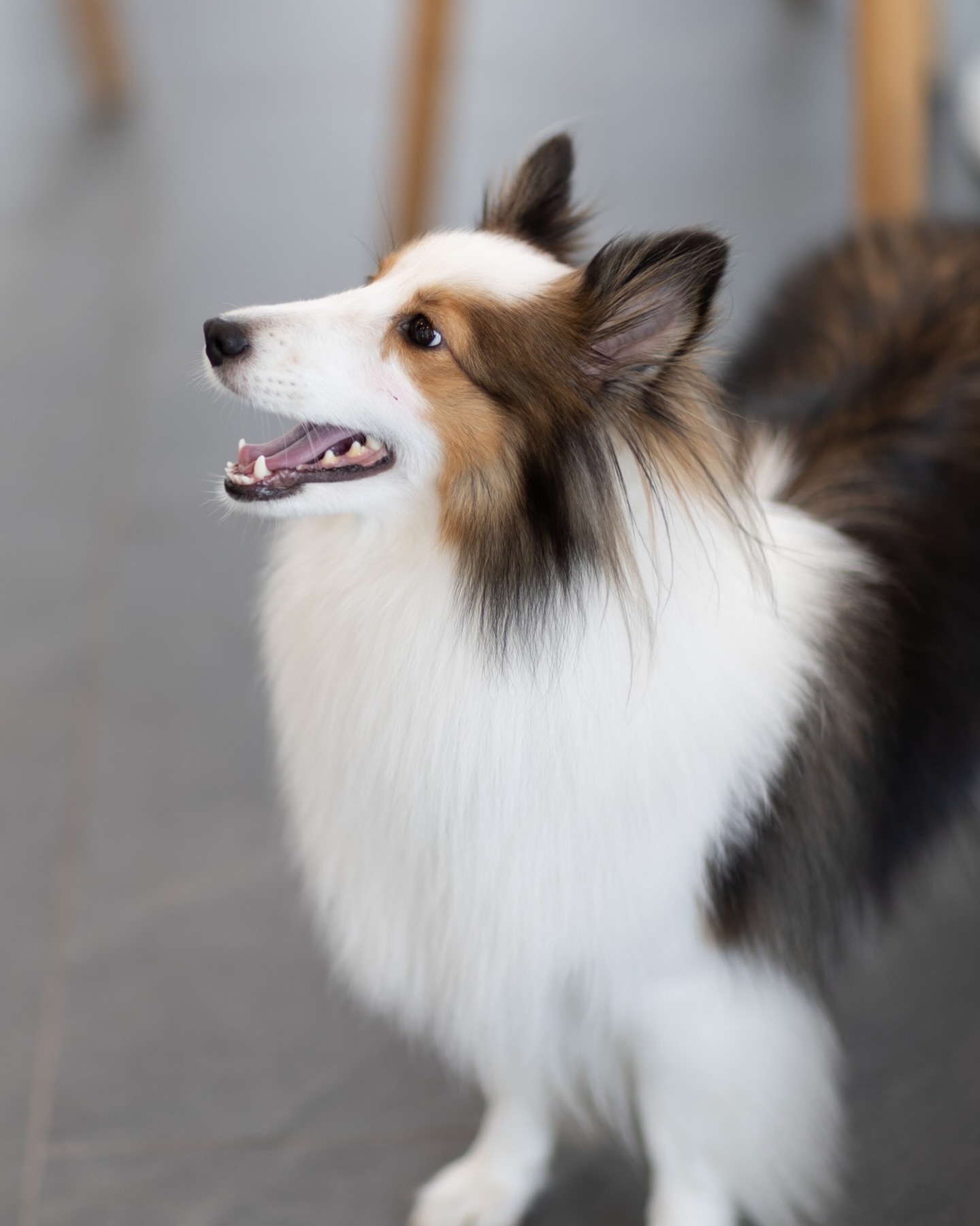 เน๋ง - ศรัณย์ นราประเสริฐกุล