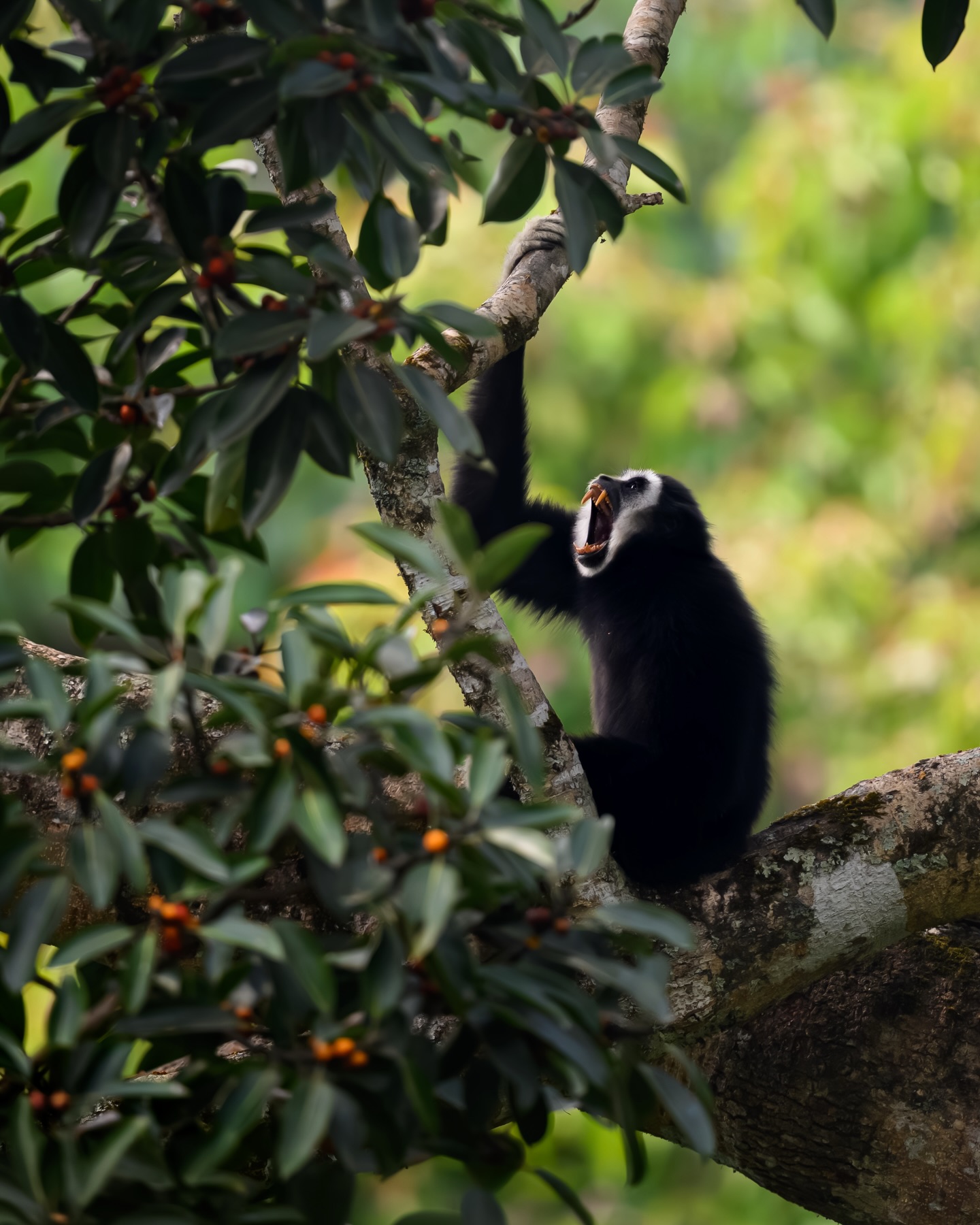 เน๋ง - ศรัณย์ นราประเสริฐกุล