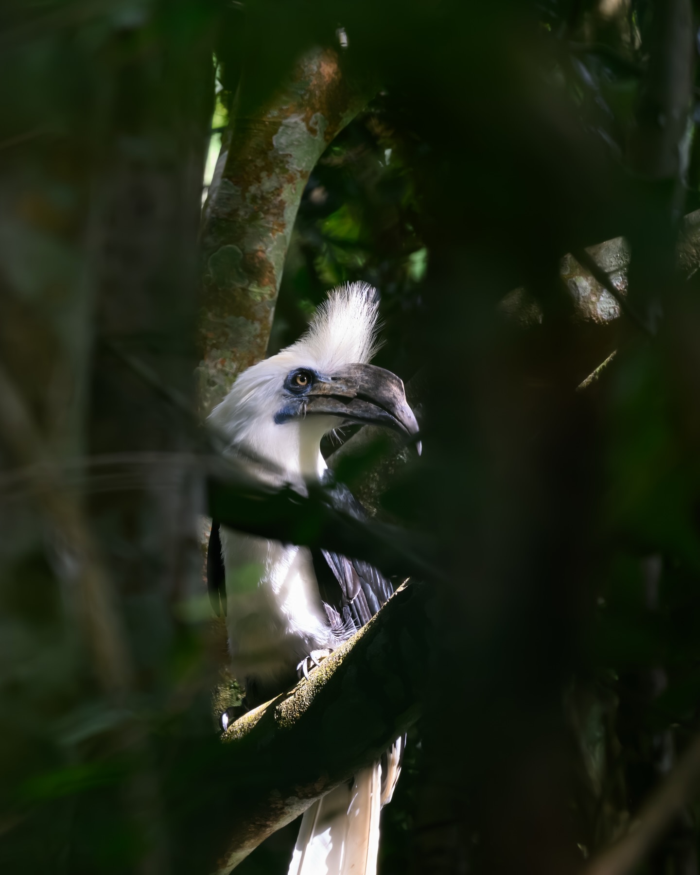 เน๋ง - ศรัณย์ นราประเสริฐกุล