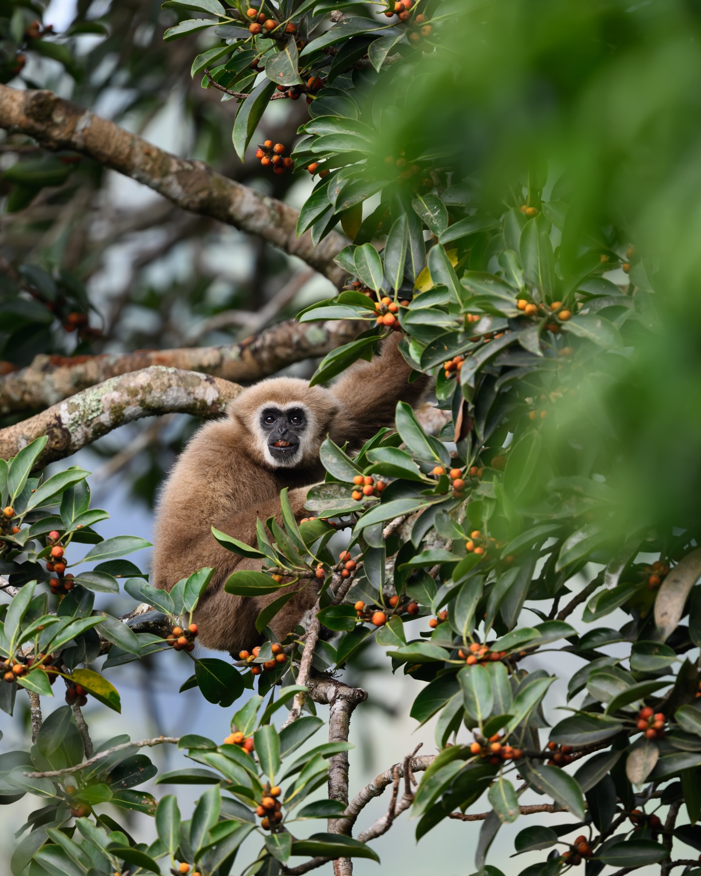 เน๋ง - ศรัณย์ นราประเสริฐกุล