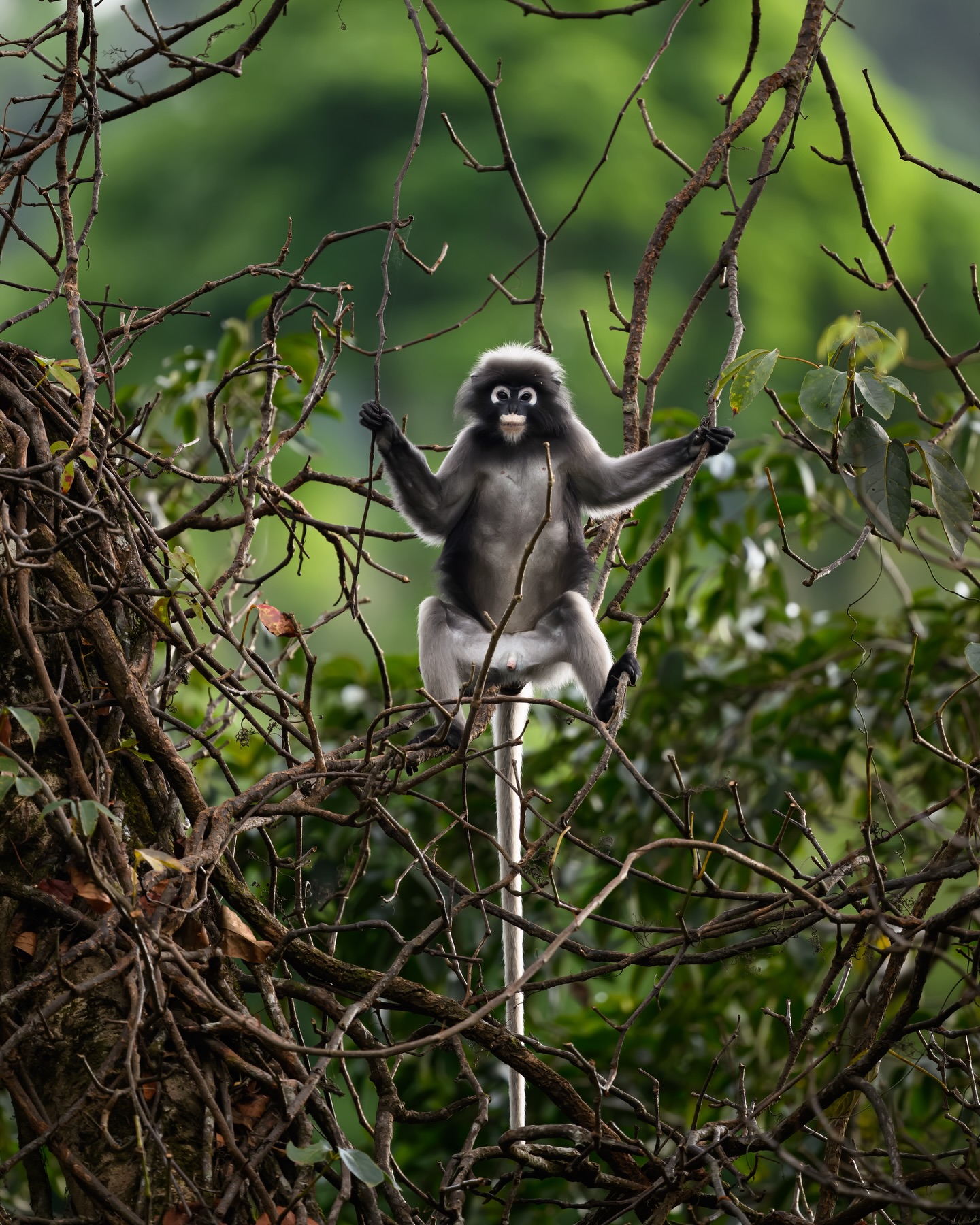 เน๋ง - ศรัณย์ นราประเสริฐกุล