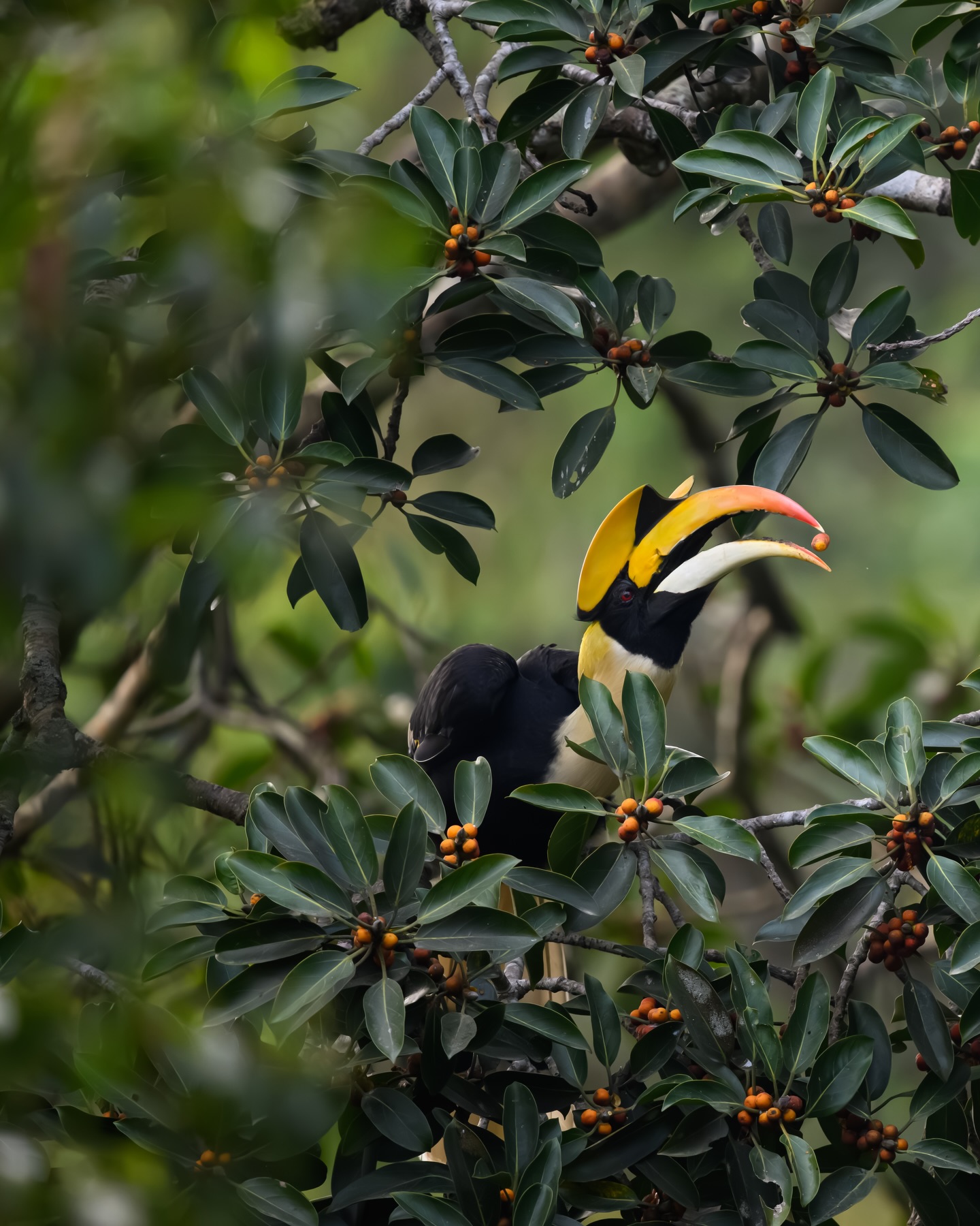 เน๋ง - ศรัณย์ นราประเสริฐกุล