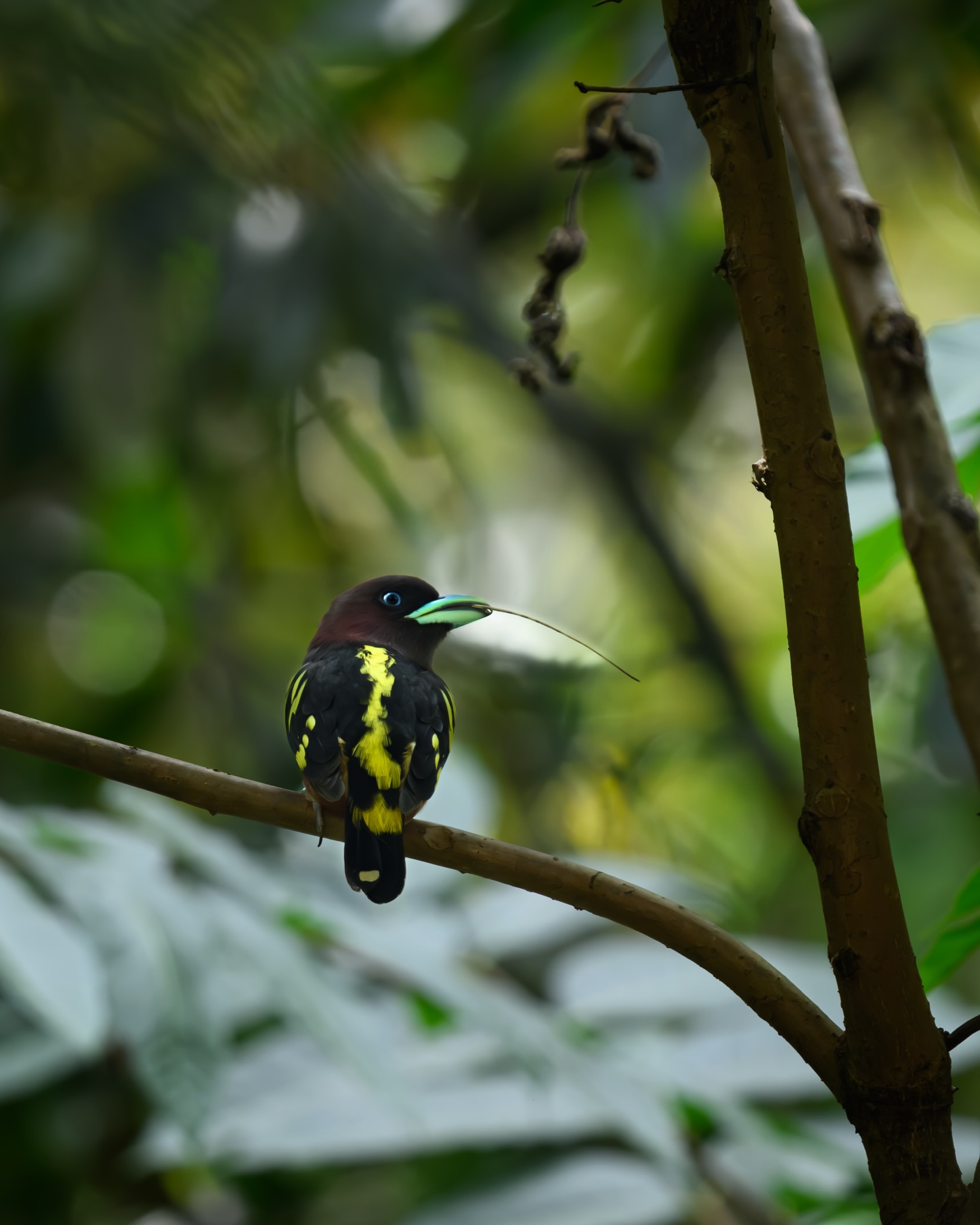 เน๋ง - ศรัณย์ นราประเสริฐกุล