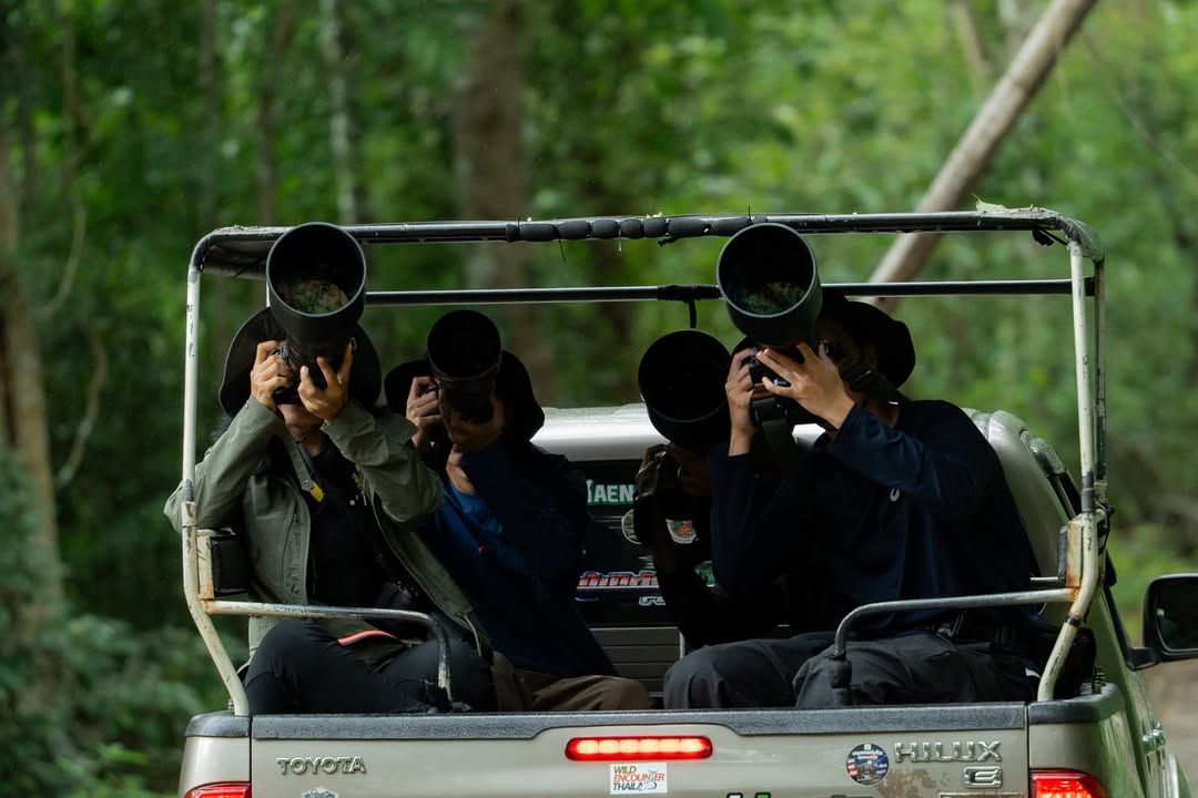 เน๋ง - ศรัณย์ นราประเสริฐกุล