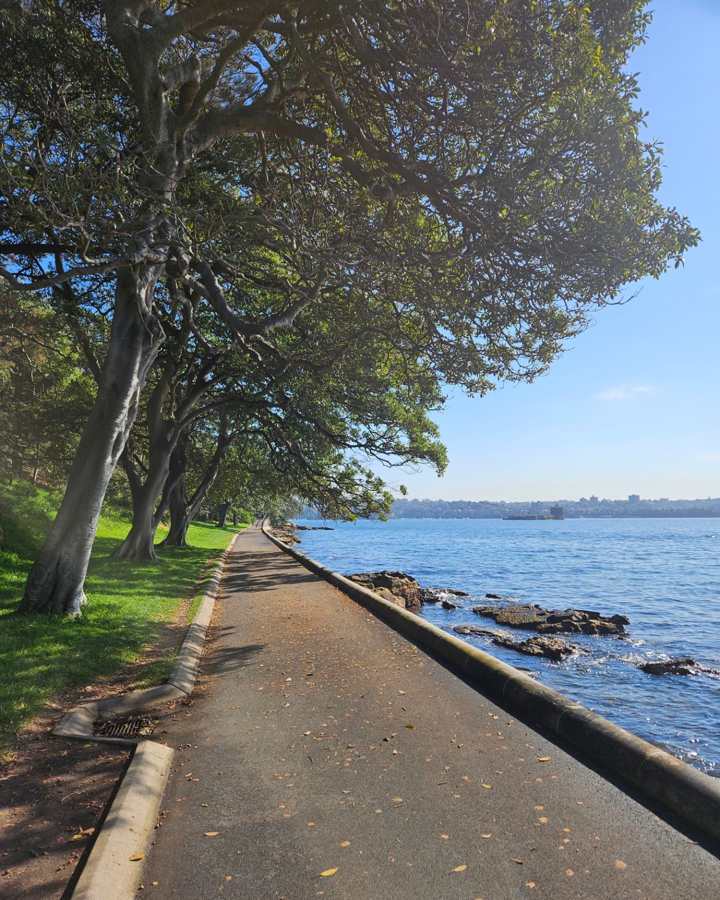 ตูน - อาทิวราห์ คงมาลัย