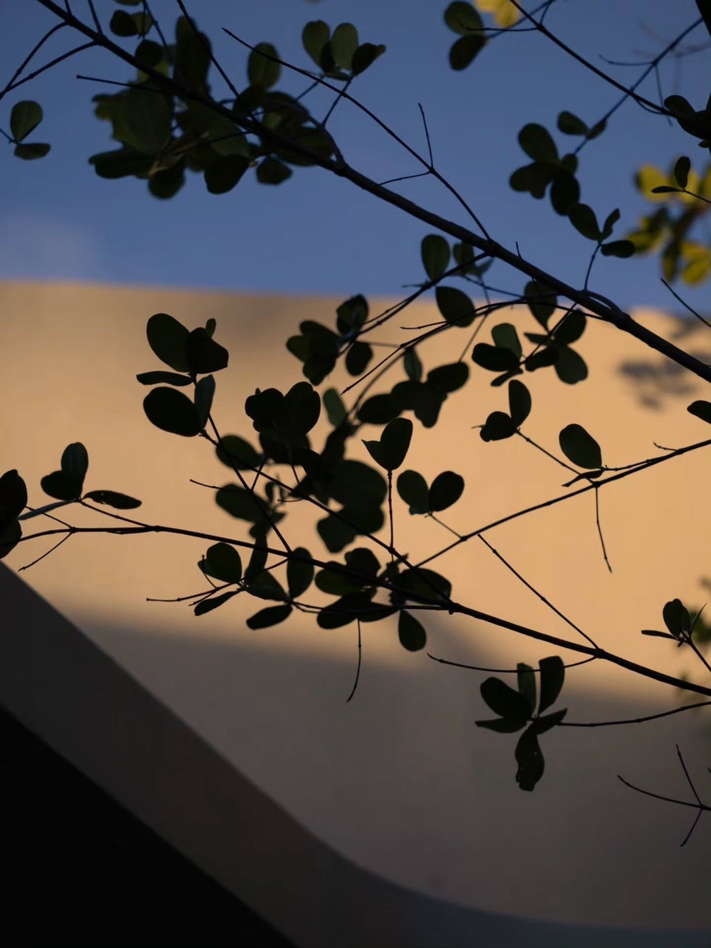 ตูน - อาทิวราห์ คงมาลัย