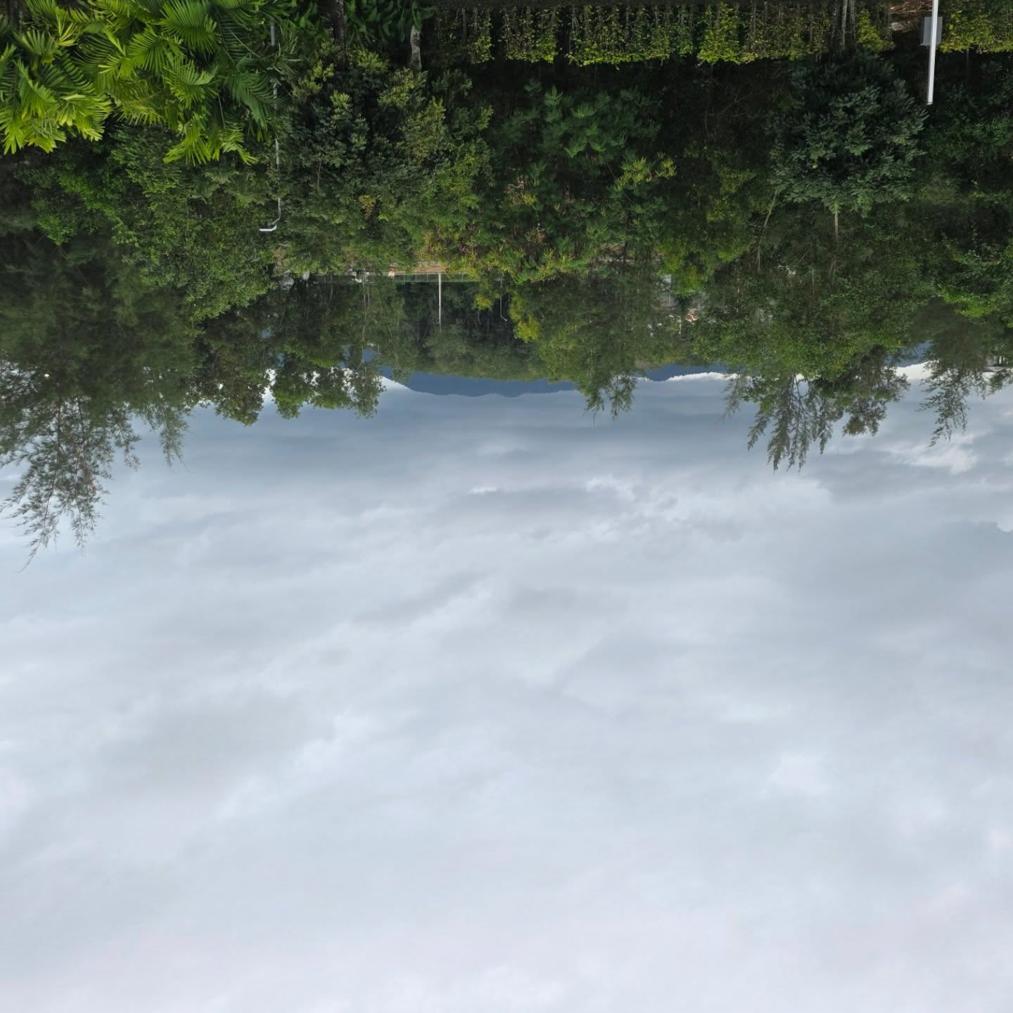 ตูน - อาทิวราห์ คงมาลัย