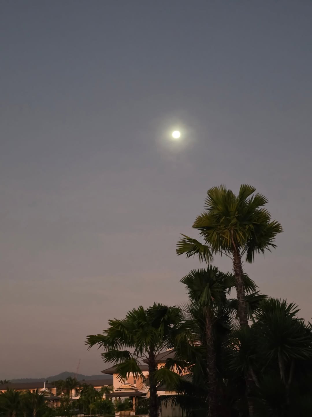 ตูน - อาทิวราห์ คงมาลัย