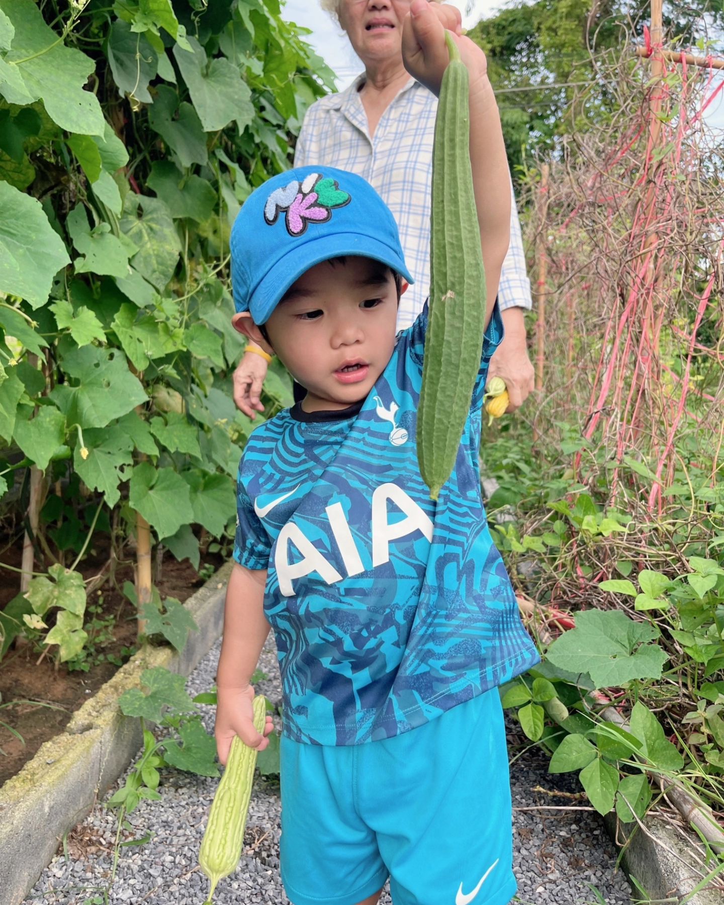 ก้อย - รัชวิน วงศ์วิริยะ