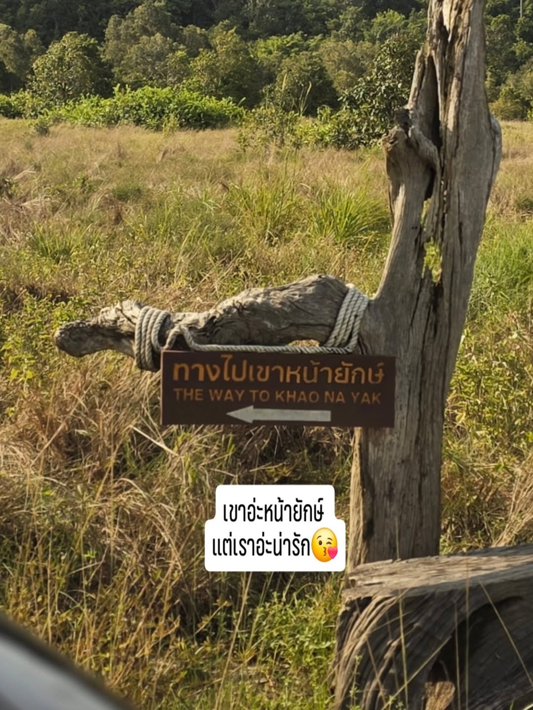 ก้อย - รัชวิน วงศ์วิริยะ