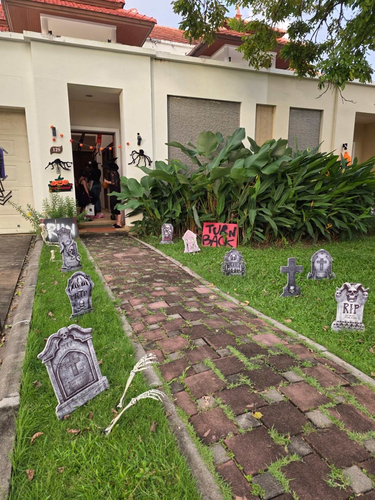 ก้อย - รัชวิน วงศ์วิริยะ