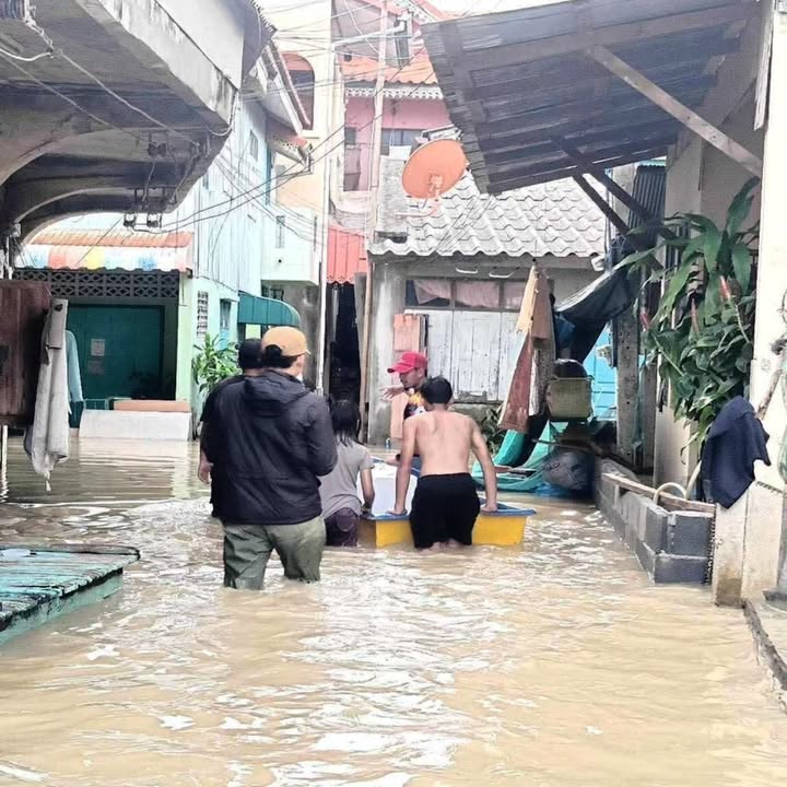 ก้อย - รัชวิน วงศ์วิริยะ